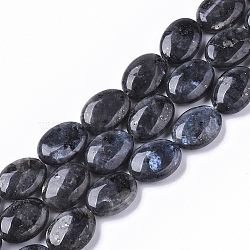 Natural Larvikite Beads Strands, Oval, 18x13.5x6~7mm, Hole: 1.2mm, about  20~22pcs/Strand, 15.55 inch(39.5 cm)(X-G-S359-001)
