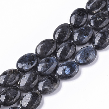 Natural Larvikite Beads Strands, Oval, 18x13.5x6~7mm, Hole: 1.2mm, about  20~22pcs/Strand, 15.55 inch(39.5 cm)