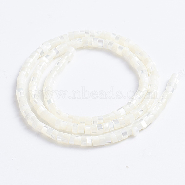 Natural Trochid Shell/Trochus Shell Beads Strands(X-SSHEL-L016-13A)-3