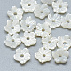 Natural White Shell Beads(SSHEL-S260-011)-1