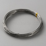 316 Stainless Steel Wires, Round, Stainless Steel Color, 20 Gauge, 0.8mm, about 32.81 Feet(10m)/Roll(TWIR-WH0002-23H-P)
