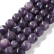 Natural Lepidolite Beads Strands, Faceted, Double Hearted & Star Cut Beads, 8.5~10.5x9~10.5mm, Hole: 0.8mm, about 40~42pcs/strand, 15.43~15.94 inch(39.2~40.5cm)(G-NH0021-A07-02)