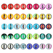 40Pcs 20 Colors Luminous Self Adhesive Glass Eyes Cabochons, Glow in the Dark, for Doll Making Accessories, Dome/Half Round, Mixed Color, 25x6mm, 2pcs/color(DIY-CA0006-28)