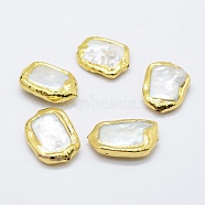 Natural Cultured Freshwater Pearl Beads, Edge Golden Plated, Nuggets, White, 19~22.5x14~15x5~6mm, Hole: 1mm(PEAR-F006-55G)