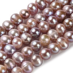 Natural Cultured Freshwater Pearl Beads Strands, Potato, Grade 3A+, Thistle, 7~8x7mm, Hole: 0.5mm, about 58pcs/strand, 15.43''(39.2cm)(PEAR-E018-18)