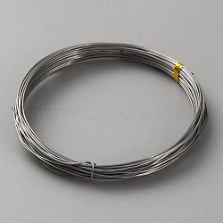 316 Stainless Steel Wires, Round, Stainless Steel Color, 20 Gauge, 0.8mm, about 32.81 Feet(10m)/Roll(TWIR-WH0002-23H-P)