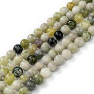 Natural Qinghua Jade Beads Strands, Round, 6mm, Hole: 1.2mm, about 63pcs/strand, 15.16 inch(38.5cm)(G-G818-01-6mm)