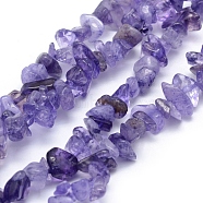Natural Amethyst Beads Strands, Dyed, Chip, 5~8mm, Hole: 1mm, about 33 inch(84cm)(X-G-P332-06)