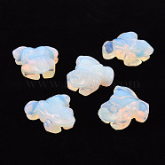 Opalite Display Decorations, Frog, 35~38x30~33x15~17.5mm(G-N335-01G)