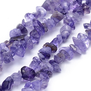 Natural Amethyst Beads Strands, Dyed, Chip, 5~8mm, Hole: 1mm, about 33 inch(84cm)