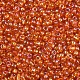 Glass Seed Beads(X1-SEED-A007-3mm-169)-2