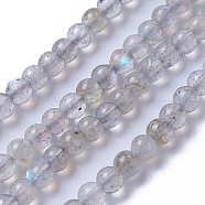 Natural Labradorite Beads Strands, Round, 4mm, Hole: 1mm, about 100~101pcs/strand, 14.9~15.3 inch(38~39cm)(G-F627-10-A)