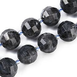 Natural Larvilite Beads Strands, Faceted, Lantern, with Seed Beads, 10x9mm, Hole: 1.2mm, about 33~34pcs/strand, 15.51~16.10 inch(39.4~40.9cm)(G-G182-B03-05)