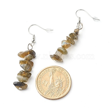 Natural Labradorite Chip Beads Dangle Earrings(EJEW-JE04649-07)-3