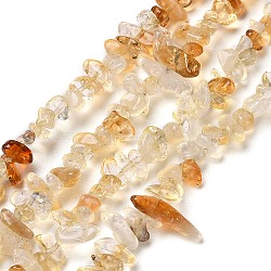 Natural Citrine Chip Beads Strands, 4~9x2~4x2~3mm, Hole: 0.5mm, 32.28''(82cm)(G-D093-A04)