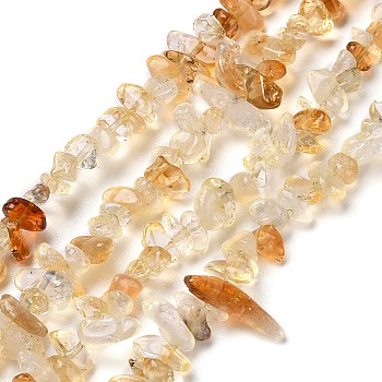 Natural Citrine Chip Beads Strands, 4~9x2~4x2~3mm, Hole: 0.5mm, 32.28''(82cm)