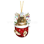Cat in Christmas Stocking Ornaments, Acrylic Kitten Hanging Ornament for Christmas Tree Home Party Decorations, Dark Goldenrod, 80mm(WG35874-01)