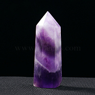 Tower Natural Amethyst Display Decoration, Healing Stone Wands, for Energy Balancing Meditation Therapy Decors, Hexagonal Prism, 40~50mm(WG83739-08)