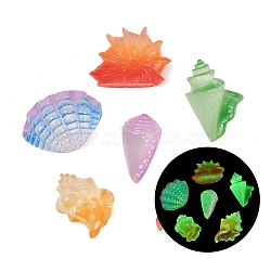 Luminous Resin Shell Shape & Conch Display Decorations, Micro Landscape Accessories, Pretending Prop Decorations, Glow in the Dark, Mixed Color, 14~30x10.5~31.5x14~21mm(RE-CBA17C4-22)