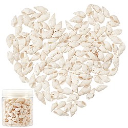 Natural Trumpet Shell Beads, Mixed, White, 19~21x10~11x8~9mm, Hole: 1mm, about 100g/box(BSHE-SC0001-03)