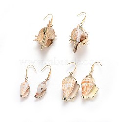Electroplated Conch Shell Dangle Earrings, with 316 Surgical Stainless Steel Earring Hooks, 50.5~80.5mm, Pin: 0.7mm(EJEW-JE02984)