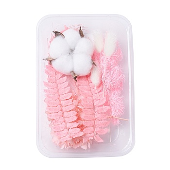 Dried Flowers, DIY Candle Soap Making Accessories, with Plastic Rectangle Box, Pink, 7.4~15x1.2~8cm