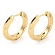 Alloy Hoop Earring(EJEW-P269-17KCG)-1