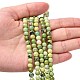 Natural Serpentine Beads Strands(G-N166-6)-5