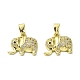 Rack Plating Brass Micro Pave Clear Cubic Zirconia Pendants(KK-R157-03G)-1