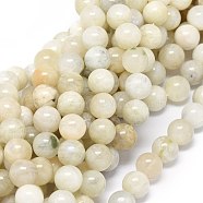 Natural Rainbow Moonstone Beads Strands, Round, 6mm, Hole: 0.8mm, about 62~65pcs/strand, 15.55 inch(6.10cm)(G-O201A-17C)