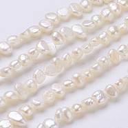 Natural Cultured Freshwater Pearl Beads Strands, Chips, Floral White, 4~6x3~4x2~3mm, Hole: 0.2mm, about 90~92pcs/strand, 14.2 inch(PEAR-P002-44)