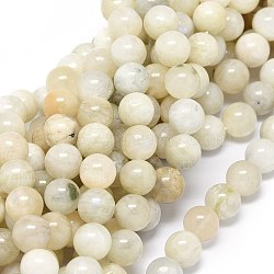 Natural Moonstone Beads Strands, Round, 6mm, Hole: 0.8mm, about 62~65pcs/strand, 15.55 inch(6.10cm)(G-O201A-17C)