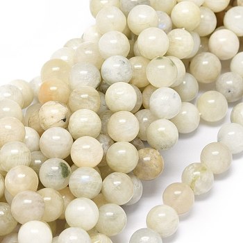 Natural Rainbow Moonstone Beads Strands, Round, 6mm, Hole: 0.8mm, about 62~65pcs/strand, 15.55 inch(6.10cm)