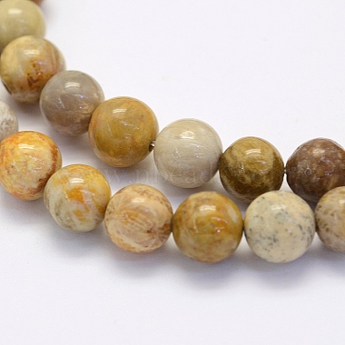 Natural Fossil Coral Beads Strands(X-G-G697-F01-4mm)-3