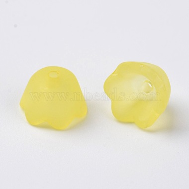 Transparent Acrylic Beads Caps(X-PL543-2)-3
