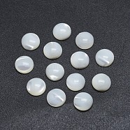 Shell Cabochons, Flat Round, 8x2~3mm(SSHEL-P015-61-8mm)
