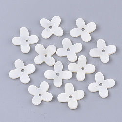 Freshwater Shell Beads, Flower, Seashell Color, 15x16x3mm, Hole: 1.6mm(X-SHEL-S276-58)
