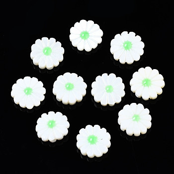 Natural Freshwater Shell Beads, with Enamel, Flower, Pale Green, 12x4mm, Hole: 0.9mm