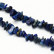 Dyed Natural Lapis Lazuli Stone Bead Strands, Chip, 3~9x3~6x1~4mm, Hole: 1mm, about 350pcs/strand, 34.6 inch(G-R192-A08)