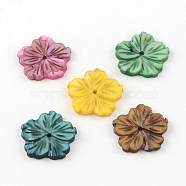 Dyed Plum Blossom Flower Natural Freshwater Shell Beads, Mixed Color, 20~21x21x2mm, Hole: 1.5mm(SHEL-R009-63)