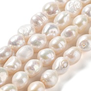 Natural Cultured Freshwater Pearl Beads Strands, Two Side Polished, Grade 4A, Seashell Color, 11.5~13.5x11~12x8~9mm, Hole: 0.7mm, about 31~35pcs/strand, 14.76''(37.5~39.5cm)(PEAR-Z002-04)