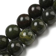 Natural African Green Autumn Jasper Beads Strands, Round, 10mm, Hole: 1mm, about 40pcs/strand, 15.87''(40.3cm)(G-R494-A19-04)