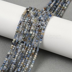 Natural Kyanite Beads Strands, Faceted Table Cut Cube, 2x2~2.5x2.5mm, Hole: 0.5mm, about 177pcs/strand, 15.24''(38.7cm)(G-B088-E24-02)