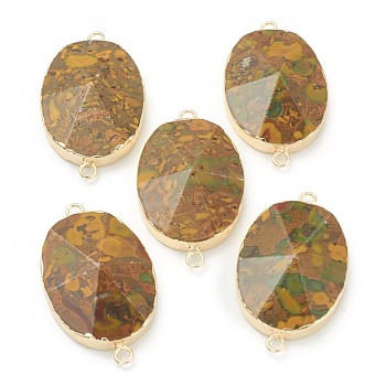 Natural Fossil Links, with Golden Brass Edges, Oval, 45x25.5x9.5mm, Hole: 2mm