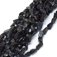 Natural Cordierite/Iolite/Dichroite Beads Strands, Nuggets, 15~20x10~13mm, Hole: 1.5mm, about 24~25pcs/strand, 15.5 inch(39.5cm)(G-O173-002)