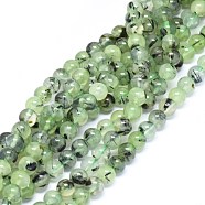 Natural Prehnite Beads Strands, Round, 8mm, Hole: 0.7mm, about 52pcs/strand, 15.4 inch~15.9 inch(39.2~40.5cm)(G-F602-01-8mm)