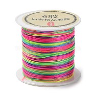 6-Ply Segment Dyed Round Nylon Thread, with Spool, Colorful, 0.4mm, about 54.68 Yards(50m)/Roll(NWIR-Q001-01C-04)