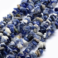 Natural Sodalite Beads Strands, Chip, 5~8mm, Hole: 1mm, about 31 inch(G-P332-21)