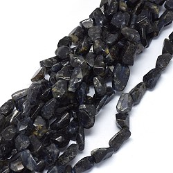 Natural Cordierite/Iolite/Dichroite Beads Strands, Nuggets, 15~20x10~13mm, Hole: 1.5mm, about 24~25pcs/strand, 15.5 inch(39.5cm)(G-O173-002)