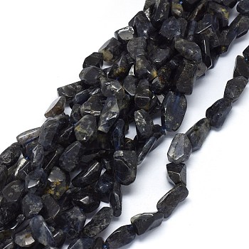 Natural Cordierite/Iolite/Dichroite Beads Strands, Nuggets, 15~20x10~13mm, Hole: 1.5mm, about 24~25pcs/strand, 15.5 inch(39.5cm)